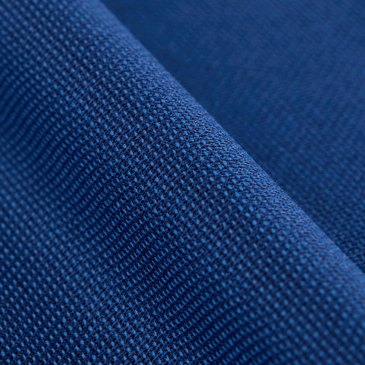 Baleine Blue Fabric